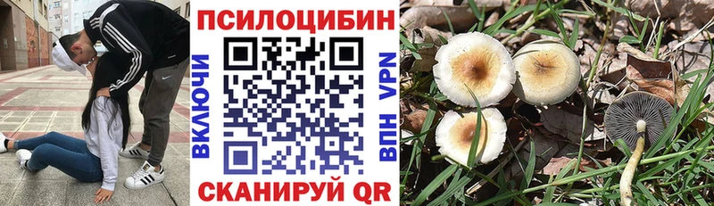 Галлюциногенные грибы ЛСД  Нелидово 